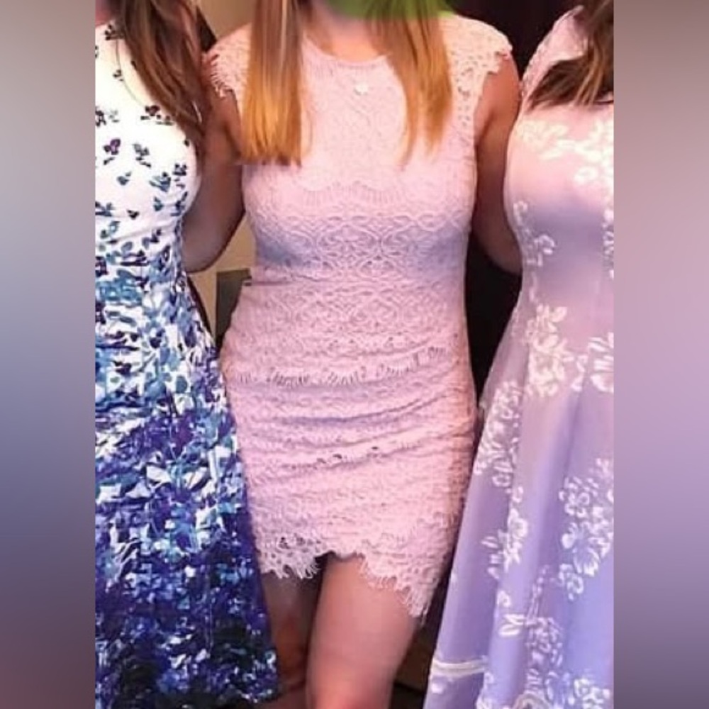 Tobi Blush Lace Dress